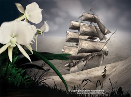 Magistratspressestelle